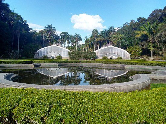 Botanical Garden of Sao Paulo